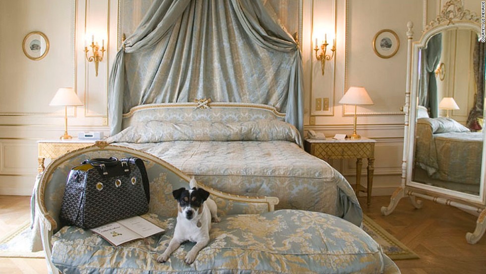 Pet-Friendly Luxury Hotels That you have to try! - Luxurious hotels ...