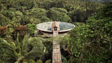 12 of the Best Hotels in Bali - Passports and Preemies