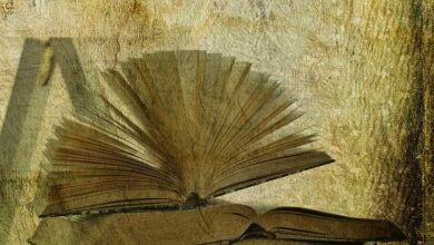 How to book hotels offering exclusive experiences worldwide?