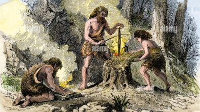 Discovering gems in the dumps